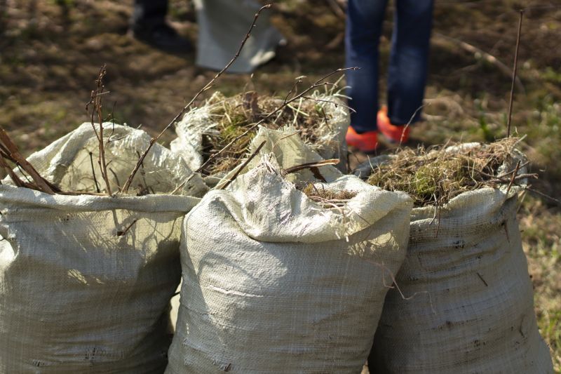 Brush Debris Removal Service