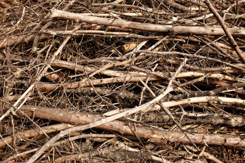 Brush Debris Removal