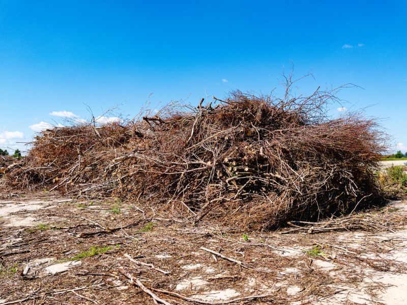 Brush Debris Removal