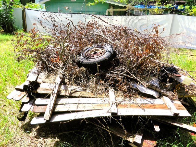 Brush Debris Removal