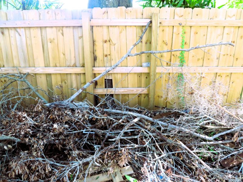 Brush Debris Removal