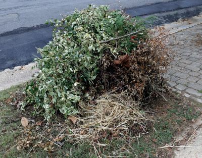 Brush Debris Removal