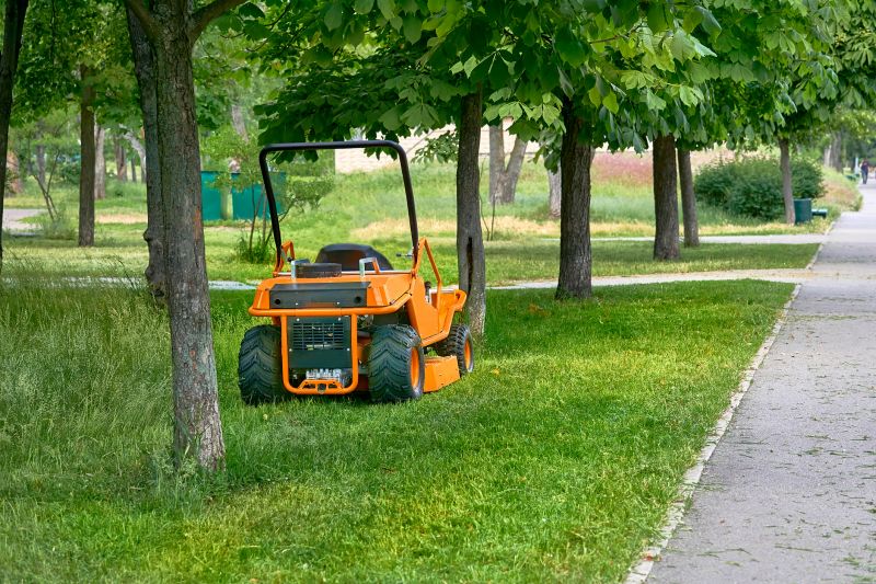 Fall Lawn Cleanup Service in Ventura County, CA