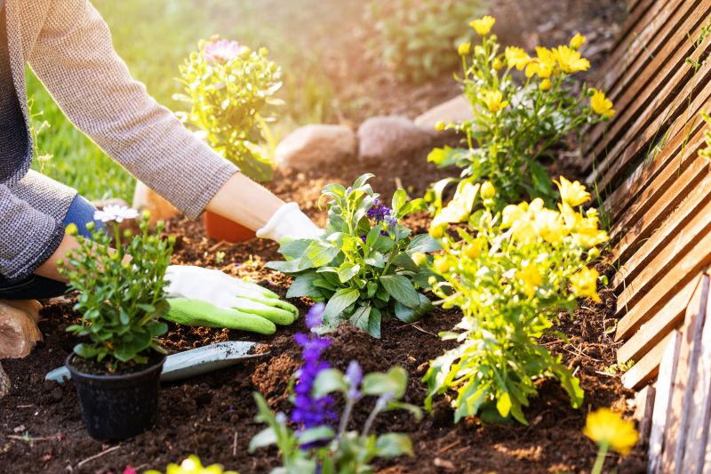 Garden Care Service in Honolulu, HI