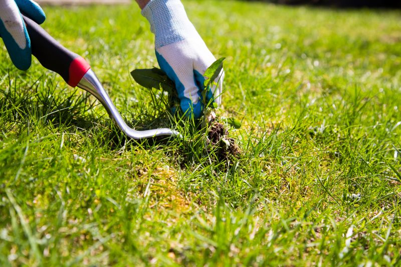 Garden Deweeding in Rockwall, TX