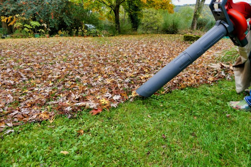 Lawn Cleanup Service in Honolulu, HI