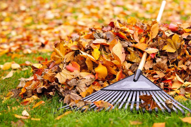 Leaf Raking Service in Honolulu, HI