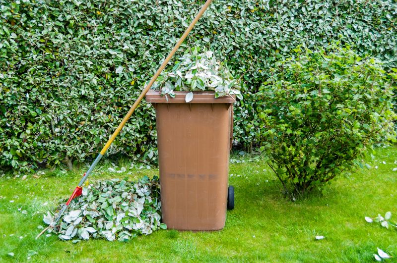 Leaf Removal in Honolulu, HI