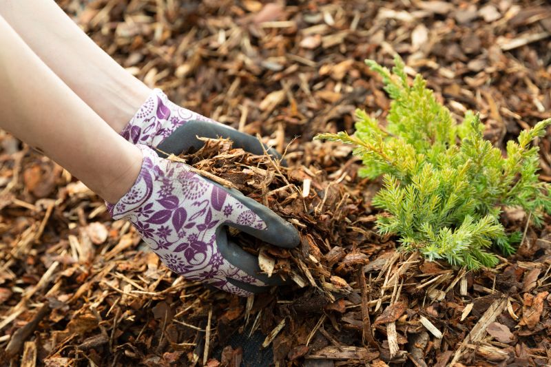 Organic Mulch Installation in Honolulu, HI