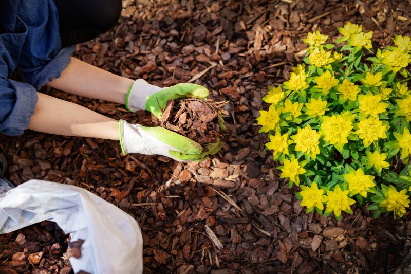 Organic Mulch Installation in Honolulu, HI