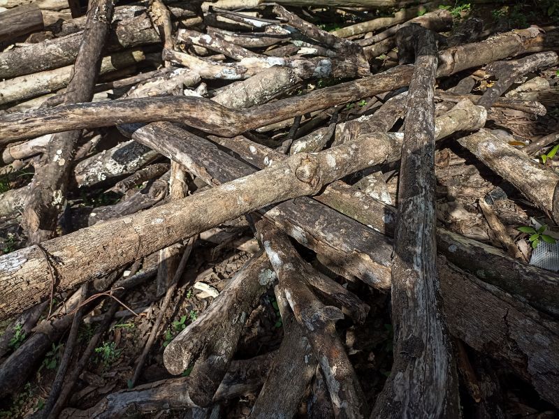 Products For Brush Debris Removals in use
