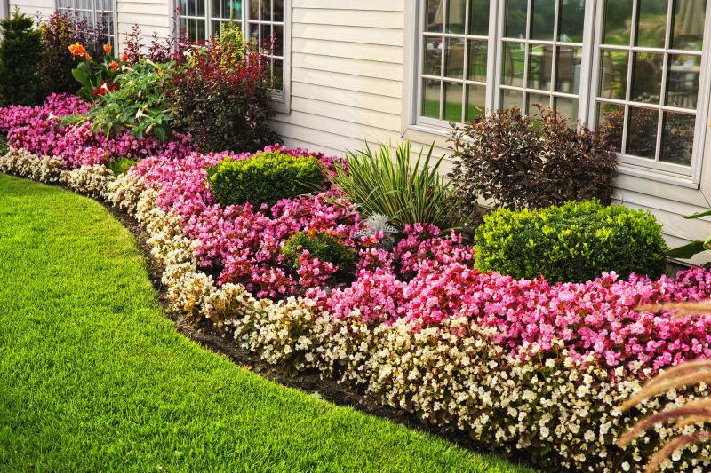 Rose Bush Planting in Ventura County, CA