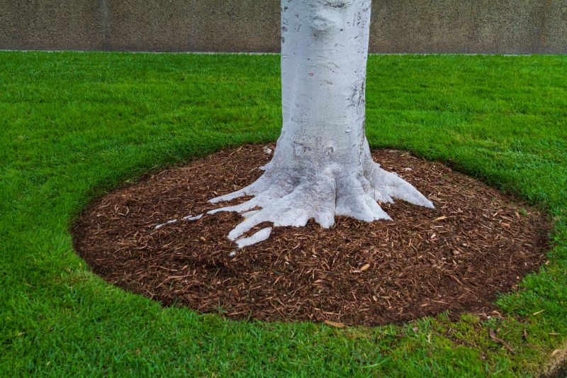 Shredded Mulch Installation in Ventura County, CA