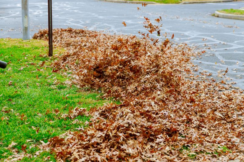 Spring Yard Clean Up Service in Ventura County, CA
