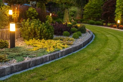 Tree Curbing Installation in Honolulu, HI