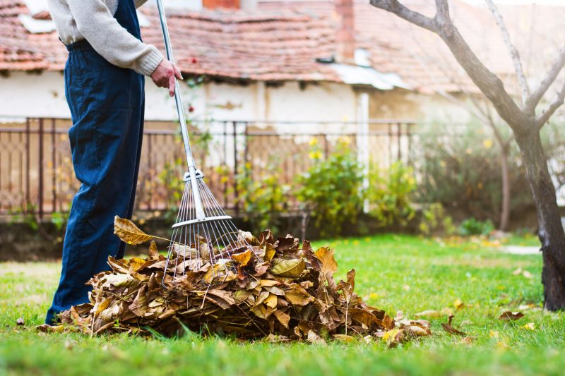 Yard Cleanup Service in Ventura County, CA