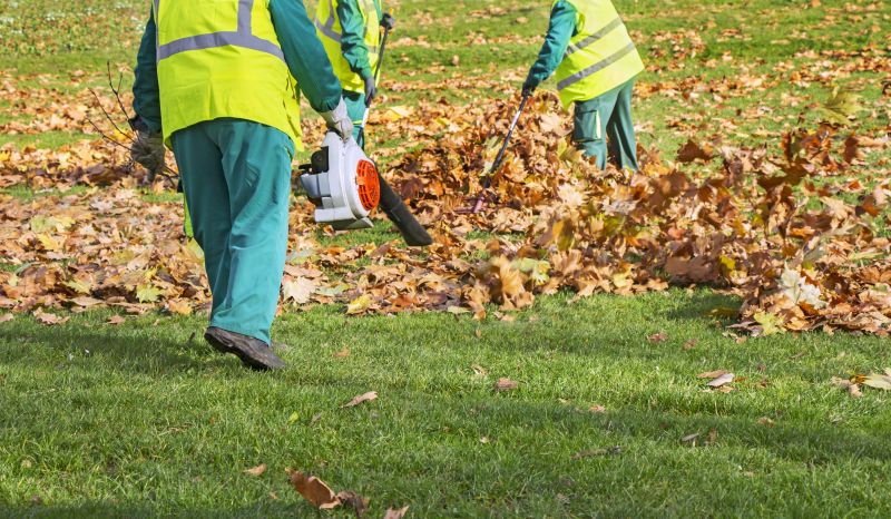 Yard Cleanup Service in Honolulu, HI