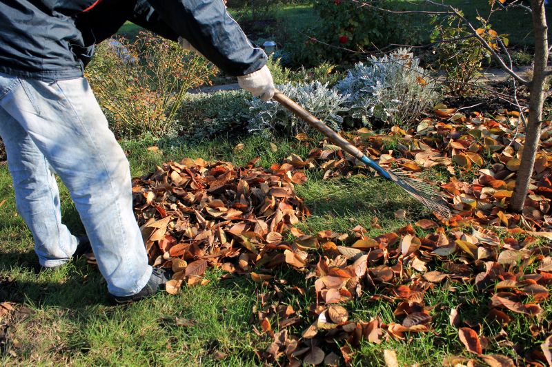 Autumn Leaf Removal in Honolulu, HI