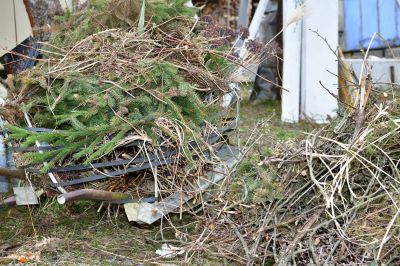 Brush Debris Removal Service